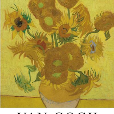 DISE O FRENTE 8 8 x 12 cm copia Miniatura